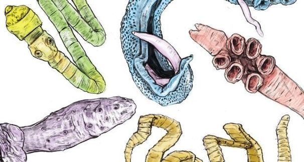 Parassiti nel corpo umano